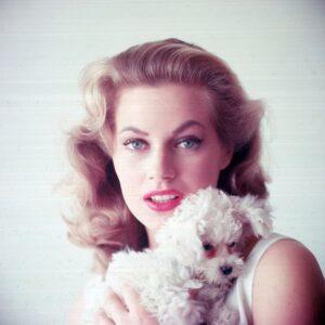 She Walked Into Cinema History and Never Left: The Enduring Story of Anita Ekberg